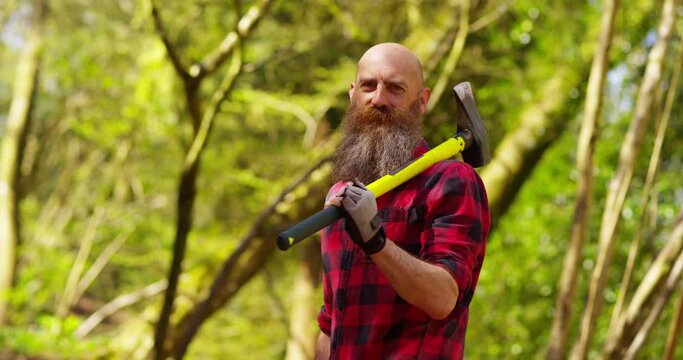 Portrait of a strong lumberjack in plaid shirt chopping tree in wood with sharp axe