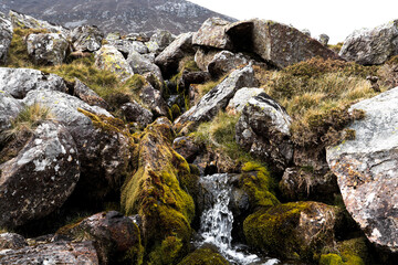 Naklejka na ściany i meble A macro photograph of a miniature waterfall running through rocks and fields within Wales.