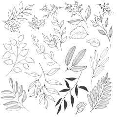 seamless floral pattern