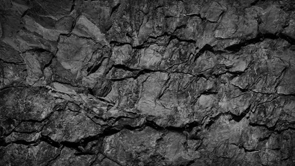 Foto op Canvas Black white grunge background. Rock texture with cracks. Stone wall background with copy space for text and design. Web banner. Dark gray rocky surface. Close-up. © Наталья Босяк