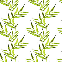 Floral seamless pattern with leaves watercolour. Hand drawn illustration in vintage style on white