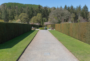 Immaculate trimmed yew hedgerow and grass straddling the pathway leading down into the garden