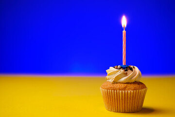 Candle burns on cupcake in yellow blue background. Concept of holiday, birthday, party. Copy space.