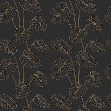 Tropical calathea leaves golden outline drawing seamless pattern. Black vintage background. Jungle foliage line art texture. Stock vector illustration. © akini