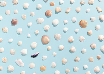 Seashells with sunny day shadows pattern on bright blue background. Minimal summer concept. Creative vacation idea. Flat lay.