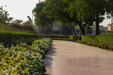Jogging track in the park early in the morning. Outdoors