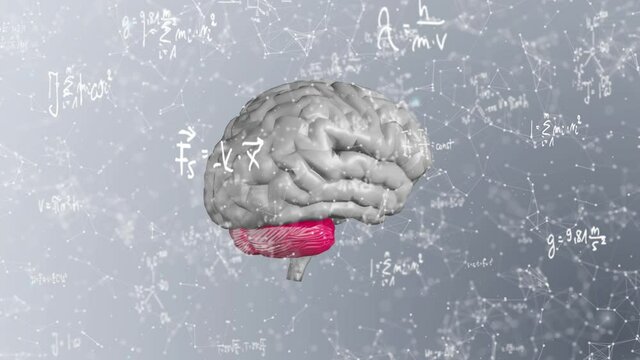 Rotating human brain. Plexus structure evolving around.