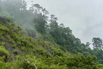 A cloud caught on a mountain in the jungle. Natural landscape