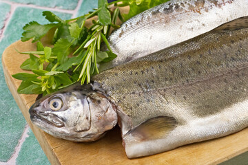 truites crues en gros plan