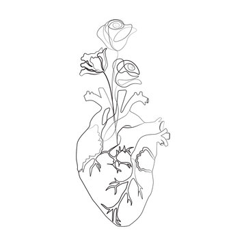 Line art sketch of human heart flowers, vector illustration