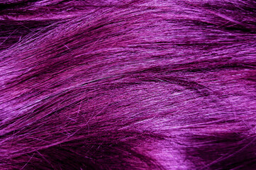 Macro photo of bright violet hair texture. Creative coloring.