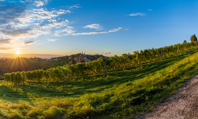 Highest vineyards in Austria near the village Kitzeck im Sausal, Styria, Austria