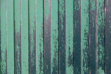 Fragment of green profiled green sheet. The top coat of paint is partially flying around, the primer is visible. Fence. Background. Texture.