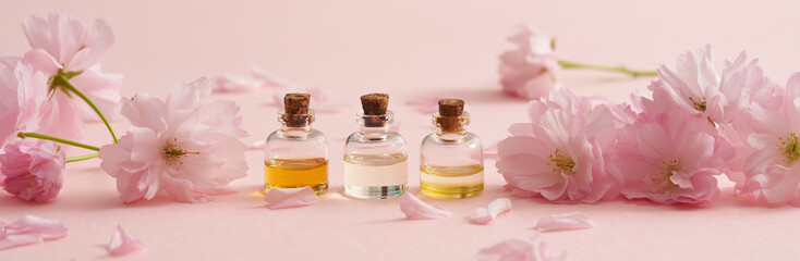 Panoramic header of essential oil bottles with kwanzan cherry blossoms in spring