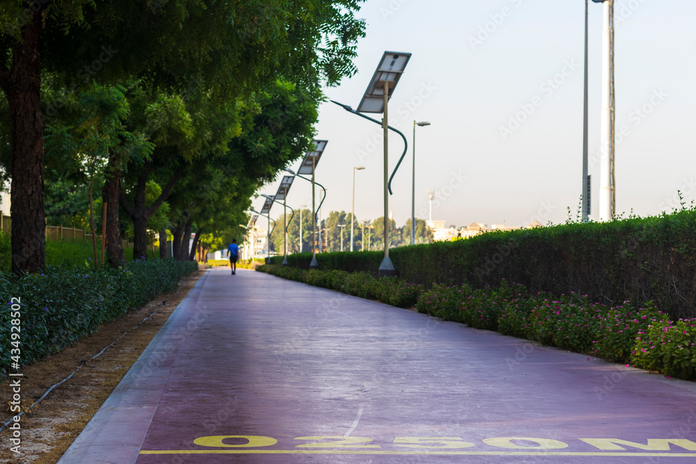 Wall mural middle aged man walking on jogging track in nad al hamar park, early in the morning. lamp post power