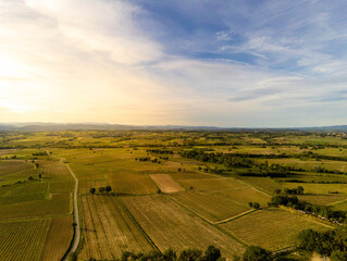 Obraz premium Vinhedo França