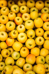 Large pile of yellow apples