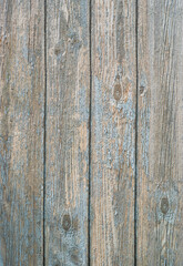 Fototapeta na wymiar Texture of old wooden boards in old blue paint that has peeled off.