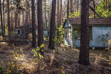 Wooden cottages in Emerald abandoned recreation base in Chernobyl Exclusion Zone, Ukraine