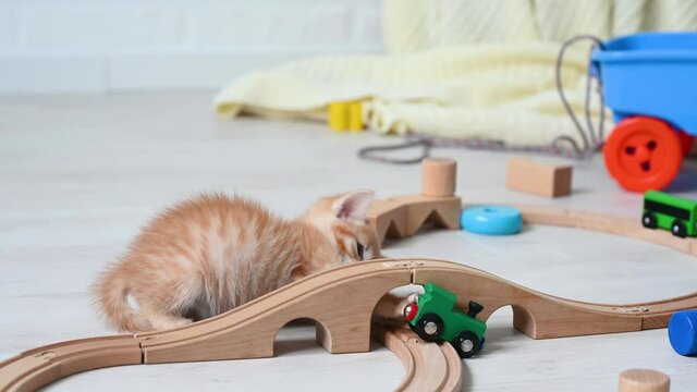 cute little ginger funny kitten cat playing at home in the nursery with children's toys paravoz on a wooden railroad. High quality photo