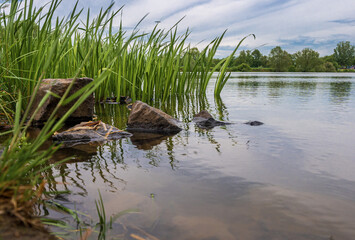 Das Gebiet am Kinzigsee in Langenselbold