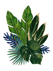 Tropical fruits plants  botanical leaves banana palm monstera bouquet arrangement isolated elements on the white © HoyaBouquet