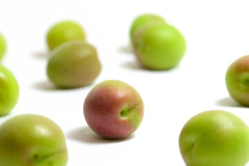 白背景の小梅の接写