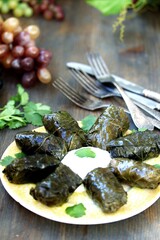 dolma, stuffed grape leaves with rice and meat.