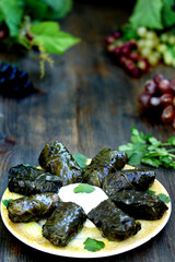dolma, stuffed grape leaves with rice and meat.