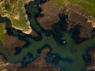 Aerial top view of barren lake surrounded by forest in summer.