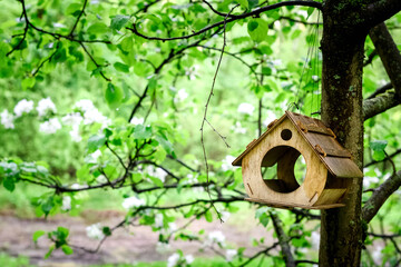 Wooden bird feeder hanging on blooming apple tree in orchard