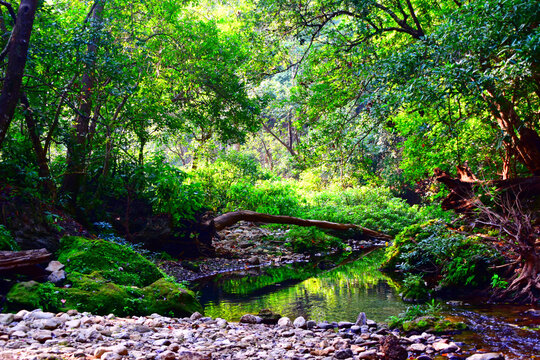Barati falls, Corbett