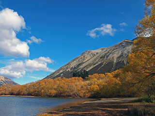 Traveling by car in south island new-Zealand  (New Zealand's Autumn Beauty)