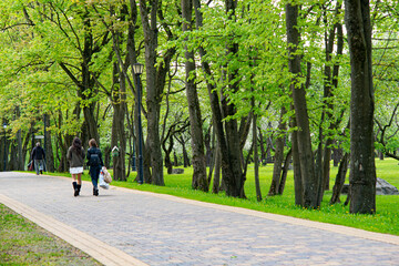 walking in the park