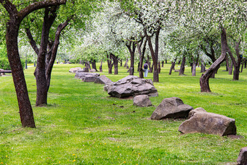 stones in the park