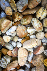  Many colorful pebbles on the beach