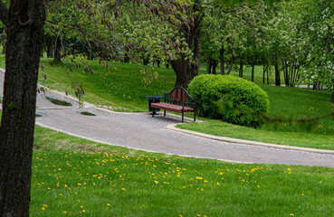 path in the park
