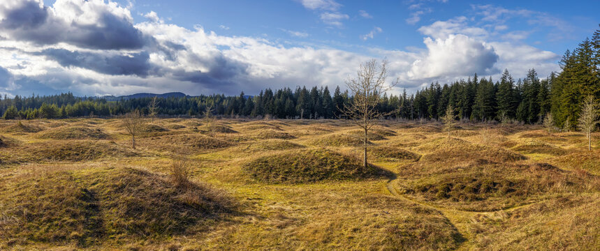 Mima Mounds Natural Area Preserve, Washington