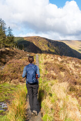 Fototapeta na wymiar Woman hiking alone on the Spinc trail in Wicklow National Park, Ireland. Outdoor activities during COVID pandemic.