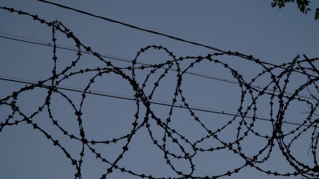 Barbed wire on the background the blue sky. Prison concept, rescue, refugee, lonely