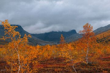 Foggy misty mountains on the background of the autumn colorful tundra. Mountain landscape in Kola Peninsula, Arctic