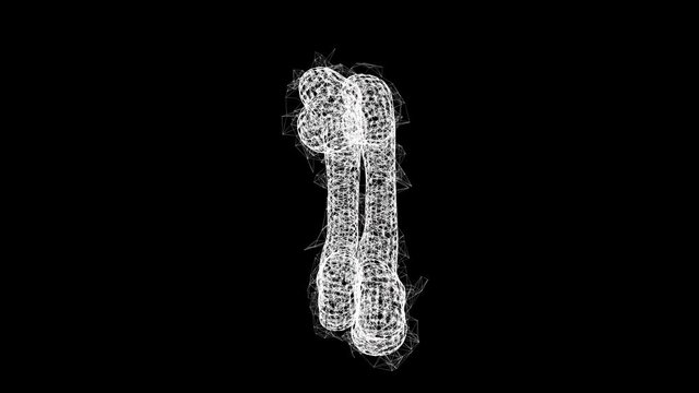 Anatomy Dog Bone object. Wireframe low poly mesh technology. Available in 4K FullHD and HD video