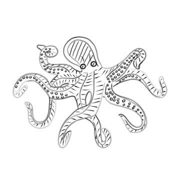illustration of a octopus hand drawn 