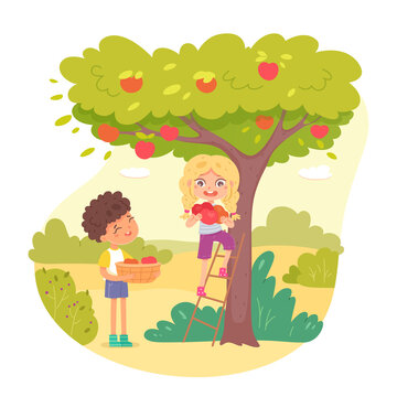 Kids collecting apples from tree in garden. Little happy boy standing with basket and girl with fruit in hands up on ladder vector illustration. Group doing chores in agriculture
