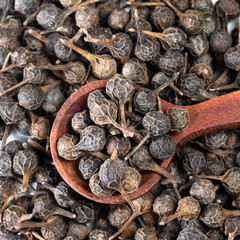 top view of spoon on pile of dried cubeb pepper