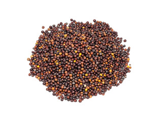 handful of rapeseeds closeup on white