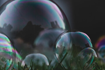 Soap bubbles in the grass.