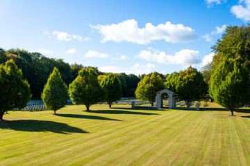 landscape nature view blue sky and green trees