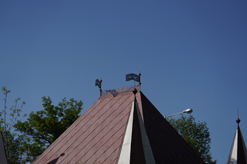 fluggers on the roof in blue sky