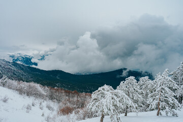Impending snow storm in the mountains on the background of snow-covered trees, Crimea 